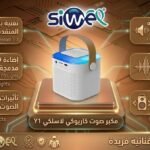 Wireless karaoke speaker Y1